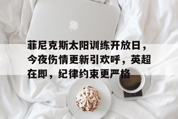 开云体育下载-关于菲尼克斯太阳训练开放日，今夜伤情更新引欢呼，英超在即，纪律约束更严格的信息